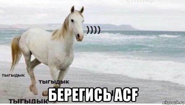  берегись acf, Мем   Тыгыдык