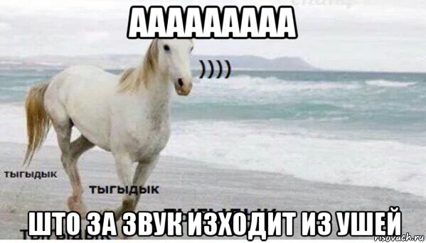 ааааааааа што за звук изходит из ушей, Мем   Тыгыдык