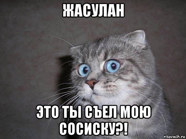 жасулан это ты съел мою сосиску?!, Мем  удивлённый кот