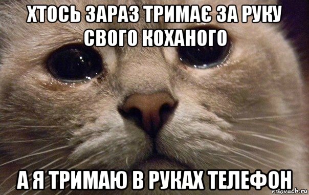 хтось зараз тримає за руку свого коханого а я тримаю в руках телефон, Мем   В мире грустит один котик