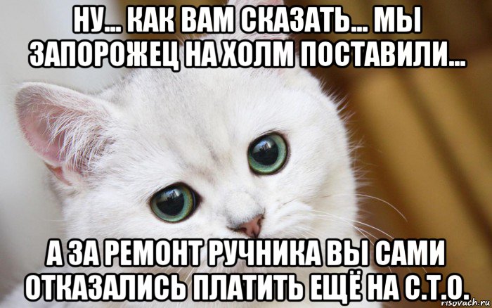 ну... как вам сказать... мы запорожец на холм поставили... а за ремонт ручника вы сами отказались платить ещё на с.т.о., Мем  В мире грустит один котик