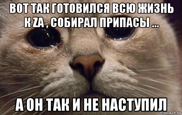 вот так готовился всю жизнь к za , собирал припасы ... а он так и не наступил, Мем   В мире грустит один котик