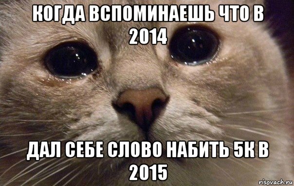 когда вспоминаешь что в 2014 дал себе слово набить 5к в 2015, Мем   В мире грустит один котик