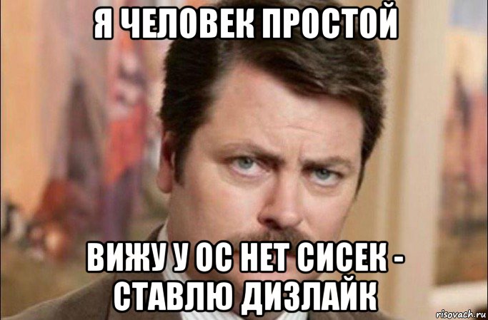 я человек простой вижу у ос нет сисек - ставлю дизлайк, Мем  Я человек простой