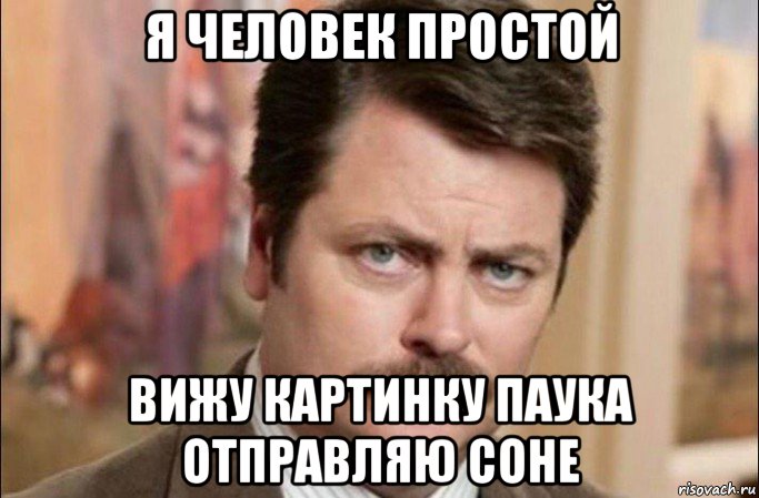 я человек простой вижу картинку паука отправляю соне, Мем  Я человек простой