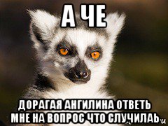 а че дорагая ангилина ответь мне на вопрос что случилаь, Мем Я збагоен