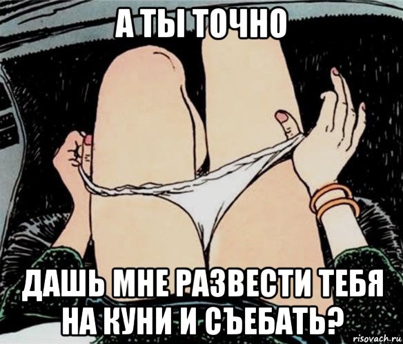 а ты точно дашь мне развести тебя на куни и съебать?, Мем А ты точно