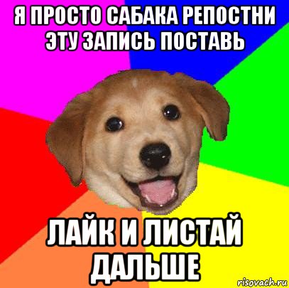 я просто сабака репостни эту запись поставь лайк и листай дальше, Мем Advice Dog