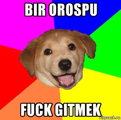 bir orospu fuck gitmek, Мем Advice Dog