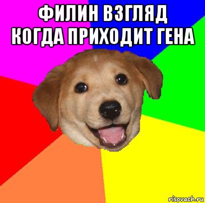 филин взгляд когда приходит гена , Мем Advice Dog