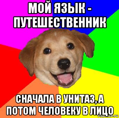 мой язык - путешественник сначала в унитаз, а потом человеку в лицо, Мем Advice Dog