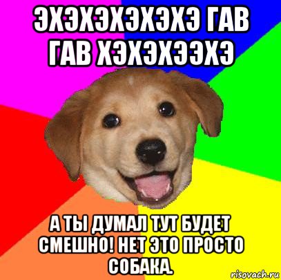 эхэхэхэхэхэ гав гав хэхэхээхэ а ты думал тут будет смешно! нет это просто собака., Мем Advice Dog