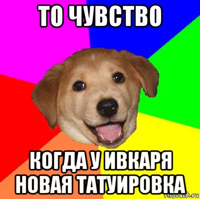 то чувство когда у ивкаря новая татуировка, Мем Advice Dog