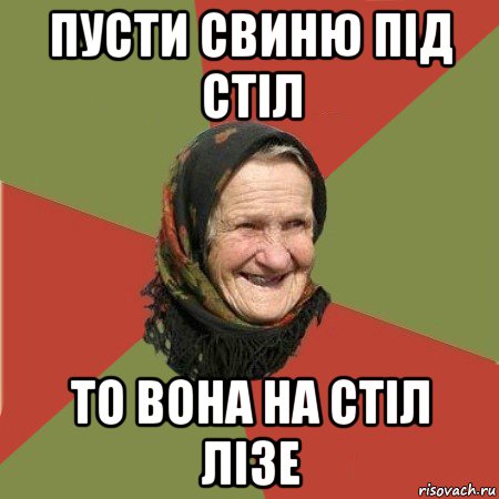 пусти свиню під стіл то вона на стіл лізе, Мем  Бабушка