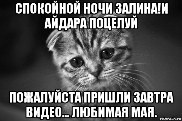 спокойной ночи залина!и айдара поцелуй пожалуйста пришли завтра видео... любимая мая., Мем  безысходность