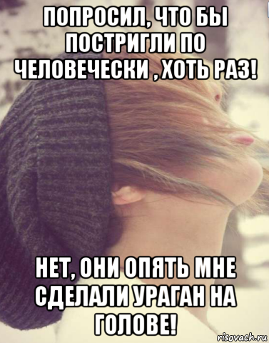 попросил, что бы постригли по человечески , хоть раз! нет, они опять мне сделали ураган на голове!