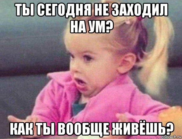 ты сегодня не заходил на ум? как ты вообще живёшь?, Мем   Девочка возмущается