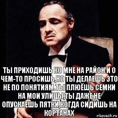 ты приходишь ко мне на район и о чем-то просишь,но ты делаешь это не по понятиям.Ты плюёшь семки на мои улицы,ты даже не опускаешь пятки,когда сидишь на кортанах, Комикс Дон Вито Корлеоне 1