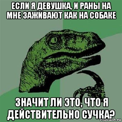 если я девушка, и раны на мне заживают как на собаке значит ли это, что я действительно сучка?, Мем Филосораптор