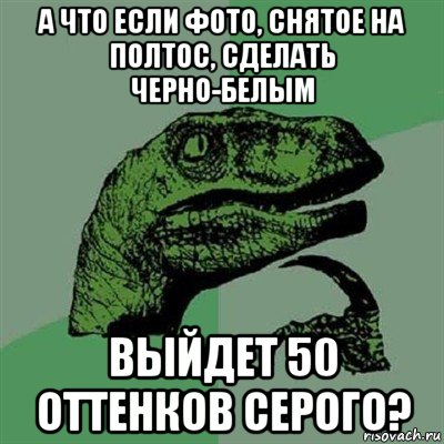 а что если фото, снятое на полтос, сделать черно-белым выйдет 50 оттенков серого?, Мем Филосораптор