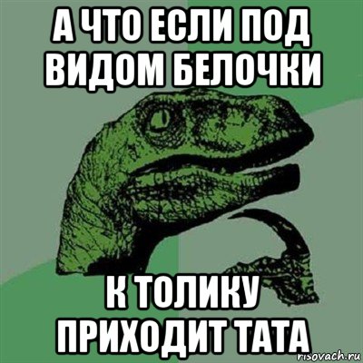 а что если под видом белочки к толику приходит тата, Мем Филосораптор