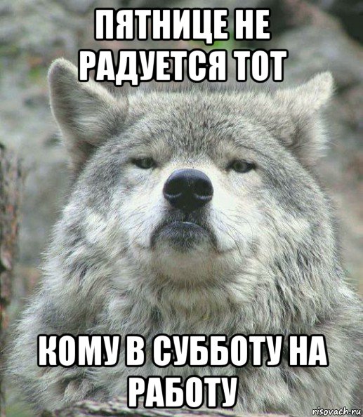 пятнице не радуется тот кому в субботу на работу, Мем    Гордый волк