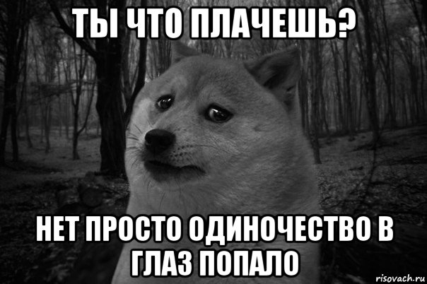 ты что плачешь? нет просто одиночество в глаз попало, Мем    Грусть-пичаль