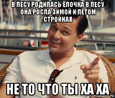 в лесу родилась ёлочка в лесу она росла зимой и летом стройная не то что ты ха ха, Мем Хитрый Гэтсби