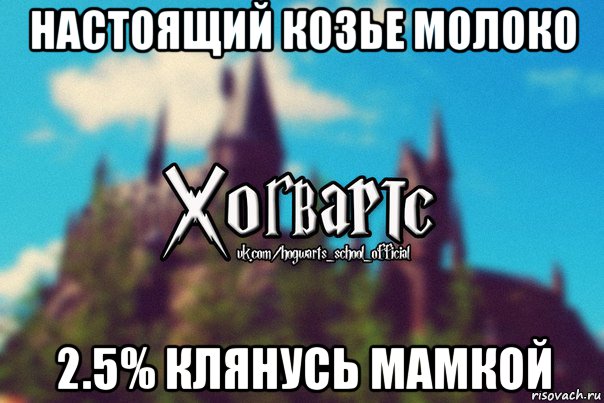 настоящий козье молоко 2.5% клянусь мамкой, Мем Хогвартс