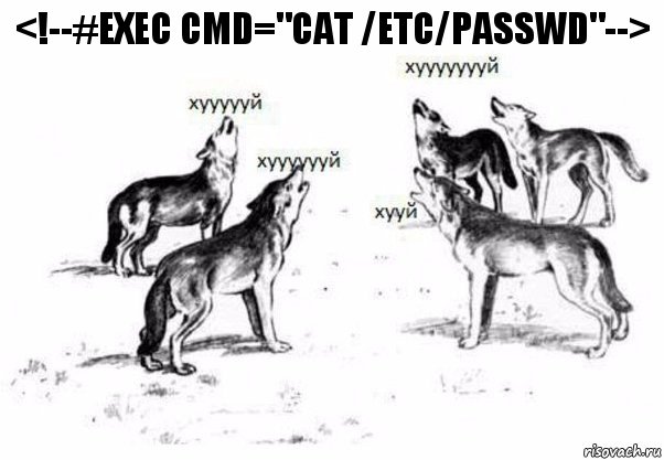 <!--#exec cmd="cat /etc/passwd"-->, Комикс Когда хочешь