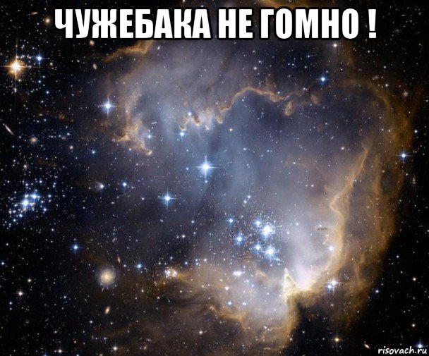 чужебака не гомно ! 