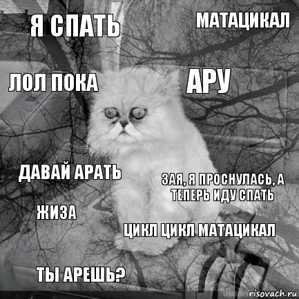 Я спать Зая, я проснулась, а теперь иду спать Ару Ты арешь? Давай арать МАТАЦИКАЛ ЦИКЛ ЦИКЛ МАТАЦИКАЛ лол пока жиза , Комикс  кот безысходность