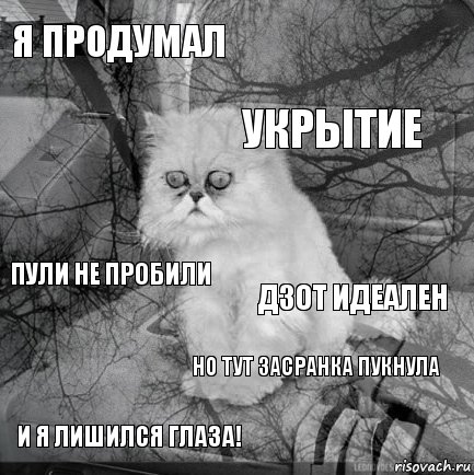 Я продумал дзот идеален укрытие и я лишился глаза! пули не пробили  но тут засранка пукнула   , Комикс  кот безысходность