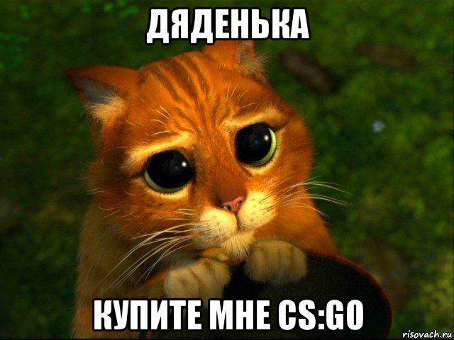 дяденька купите мне cs:go, Мем кот из шрека