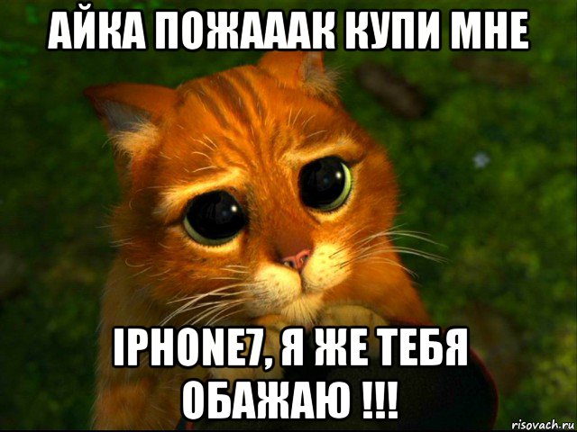 айка пожааак купи мне iphone7, я же тебя обажаю !!!, Мем кот из шрека