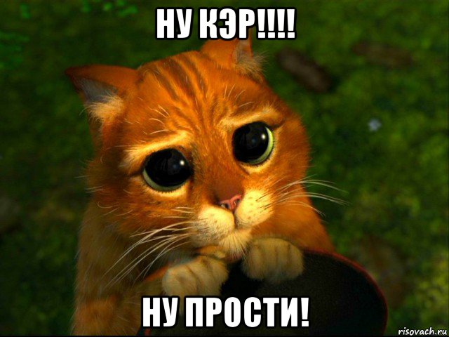 ну кэр!!!! ну прости!, Мем кот из шрека