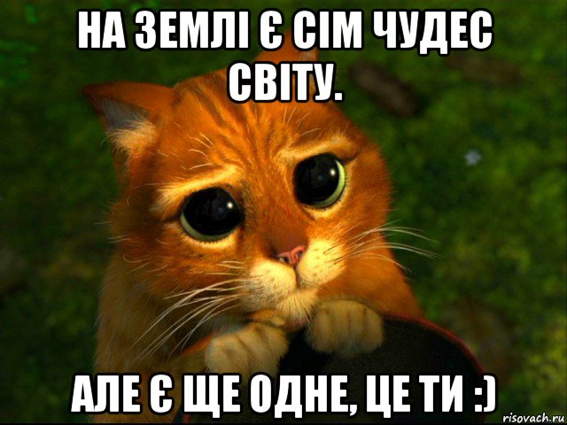 на землі є сім чудес світу. але є ще одне, це ти :), Мем кот из шрека