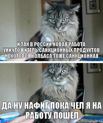 и так в россии новая работа уничтожитель санкционных продуктов некотороя колбаса тоже санкционная да ну нафиг пока чел я на работу пошёл, Комикс  кот с микрофоном