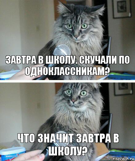 Завтра в школу. Скучали по одноклассникам? Что значит завтра в школу?, Комикс  кот с микрофоном