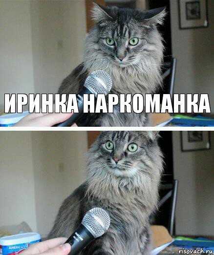 иринка наркоманка , Комикс  кот с микрофоном