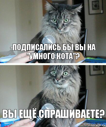 -Подписались бы вы на "Умного Кота"? Вы ещё спрашиваете?, Комикс  кот с микрофоном