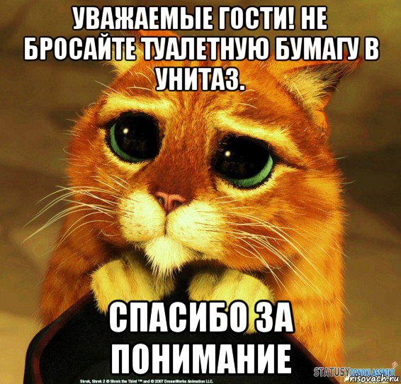 уважаемые гости! не бросайте туалетную бумагу в унитаз. спасибо за понимание, Мем Котик из Шрека