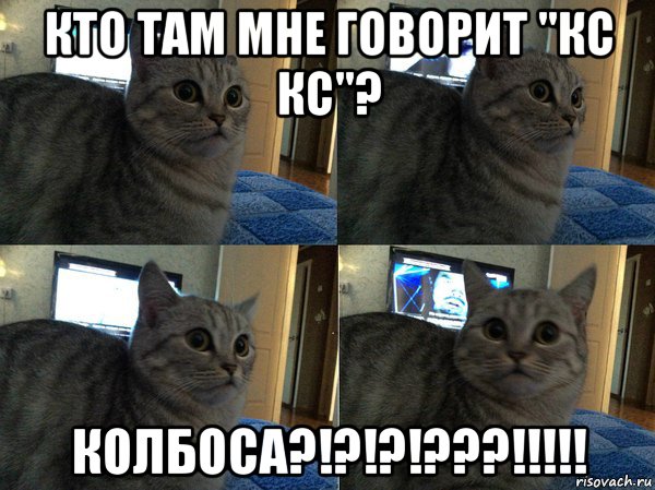 кто там мне говорит "кс кс"? колбоса?!?!?!???!!!!!, Мем  Кот в шоке