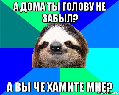 а дома ты голову не забыл? а вы че хамите мне?, Мем Ленивец