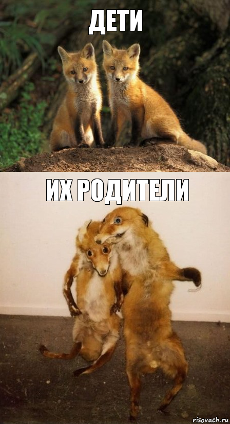 Дети Их родители, Комикс Лисицы