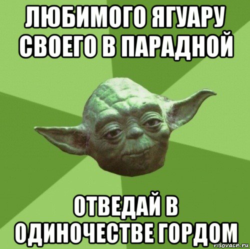 любимого ягуару своего в парадной отведай в одиночестве гордом, Мем Мастер Йода