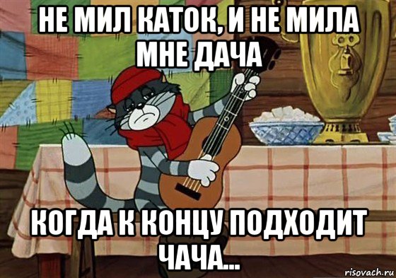 не мил каток, и не мила мне дача когда к концу подходит чача..., Мем Грустный Матроскин с гитарой