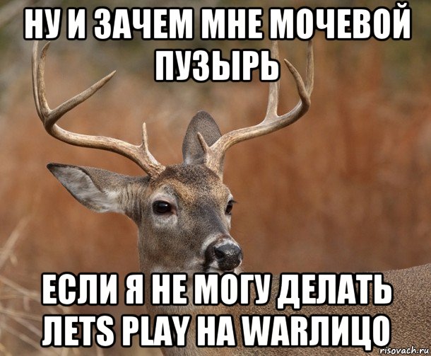 ну и зачем мне мочевой пузырь если я не могу делать лets play на warлицо, Мем  Наивный Олень v2