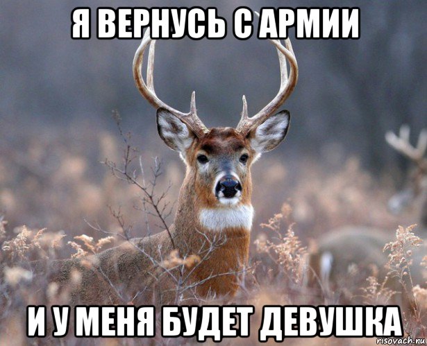 я вернусь с армии и у меня будет девушка