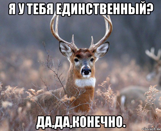 я у тебя единственный? да,да,конечно.